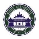 Wuhan University logo